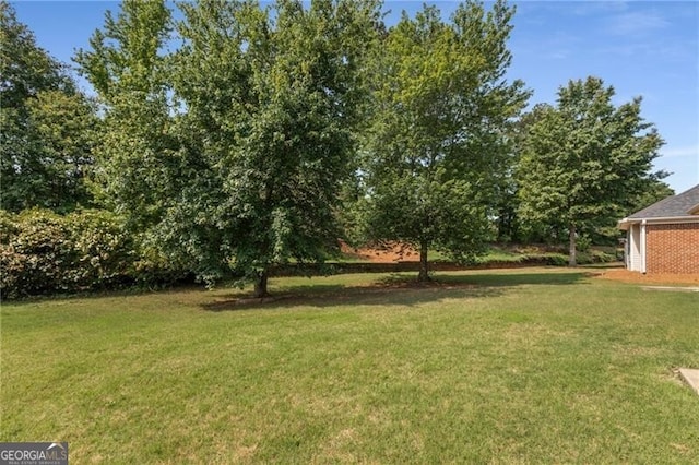 115 Pinnacle Ln, Mcdonough, GA 30253 - view of green lawn