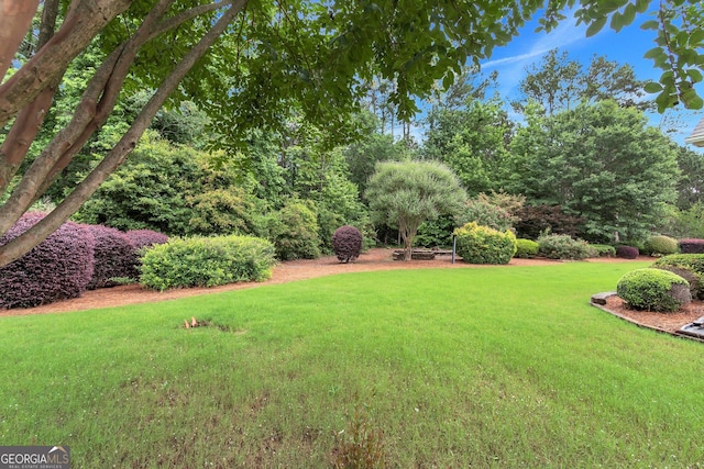 70 Merion Way, Newnan, GA 30265 - view of grassy yard