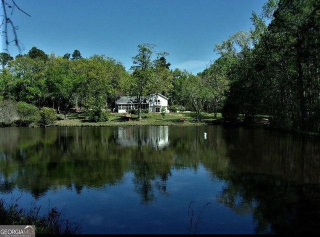 1095 Jacksonville Hwy, Fitzgerald, GA 31750 - water view featuring a forest