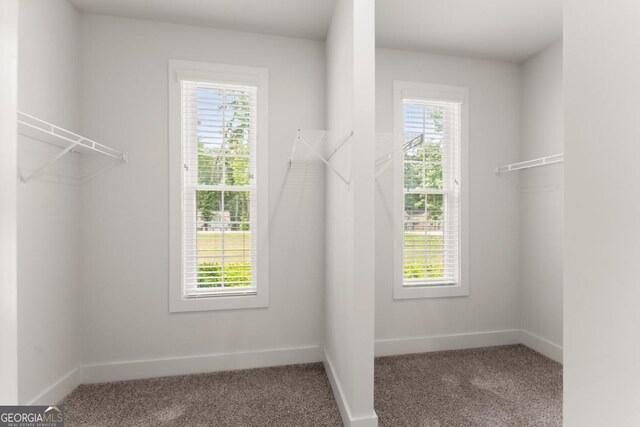 2855 Pilgrim Mill Rd, Cumming, GA 30041 - walk in closet featuring carpet