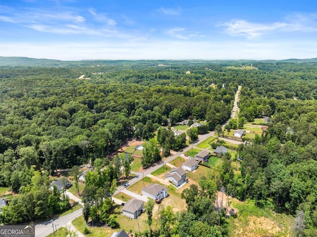 2855 Pilgrim Mill Rd, Cumming, GA 30041 - aerial view of a forest