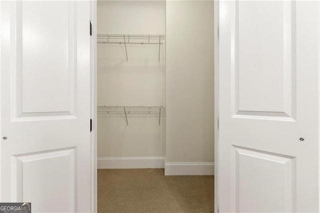 3635 Paces Cir Unit 1405, Atlanta, GA 30326 - walk in closet with carpet