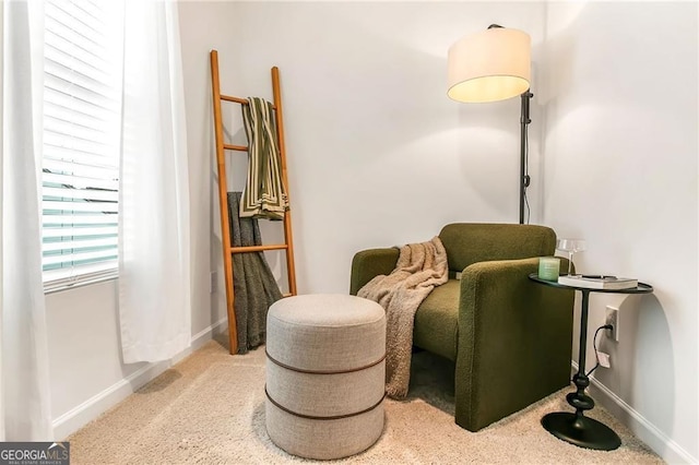 1363 Cooper Springs Rd, Grayson, GA 30017 - living area featuring carpet and baseboards