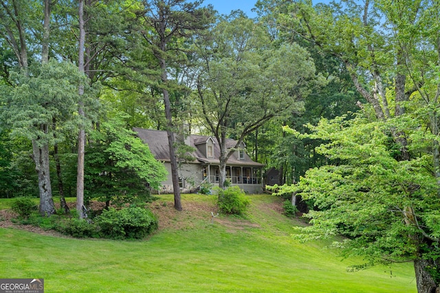534 Mountainside Dr, Rabun Gap, GA 30568 - view of green lawn