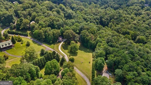 534 Mountainside Dr, Rabun Gap, GA 30568 - aerial view of a forest
