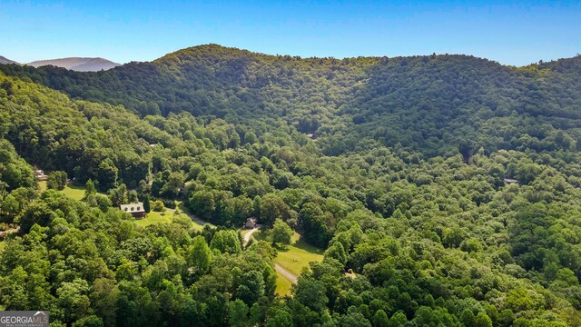 534 Mountainside Dr, Rabun Gap, GA 30568 - view of mountain backdrop with a forest