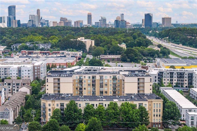 711 Cosmopolitan Dr NE Unit 300, Atlanta, GA 30324 - skyline view