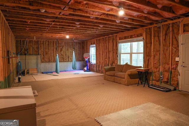 6298 Pierless Ave, Sugar Hill, GA 30518 - view of below grade area
