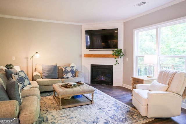 6298 Pierless Ave, Sugar Hill, GA 30518 - living room with dark wood-style floors, crown molding, and a large fireplace
