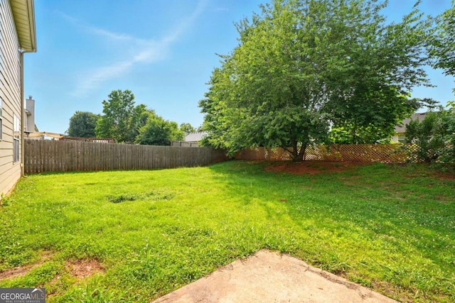 3731 Laramie Rd, Ellenwood, GA 30294 - view of yard