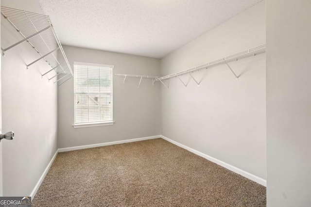 3731 Laramie Rd, Ellenwood, GA 30294 - spacious closet with carpet