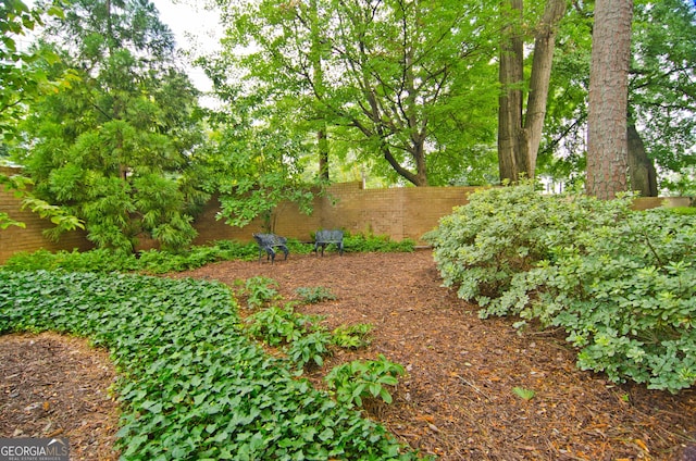 2734 Peachtree Rd NW Unit C-404, Atlanta, GA 30305 - view of yard