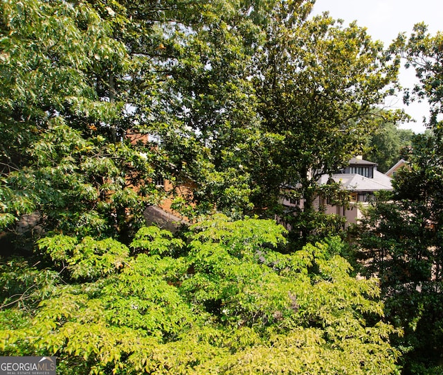 2734 Peachtree Rd NW Unit C-404, Atlanta, GA 30305 - view of yard