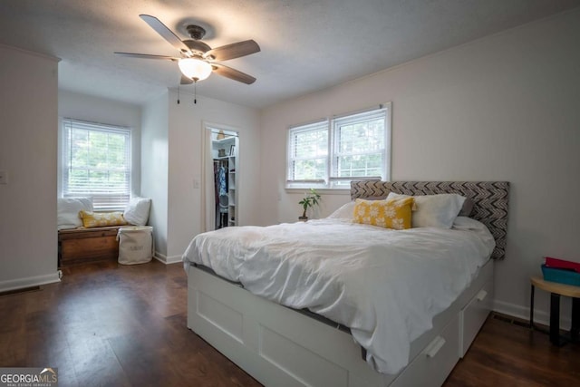 2060 Simonton Bridge Rd, Watkinsville, GA 30677 - bedroom with multiple windows, dark wood-type flooring, a walk in closet, and baseboards