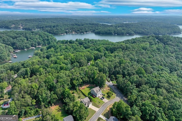 6540 Terracewood Ln, Gainesville, GA 30506 - aerial view of property and surrounding area with a heavily wooded area and a nearby body of water