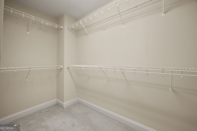 85 Bloomfield Way, Sharpsburg, GA 30277 - spacious closet with carpet flooring