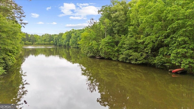 15 Bailey St, Whitesburg, GA 30185 - water view featuring a forest