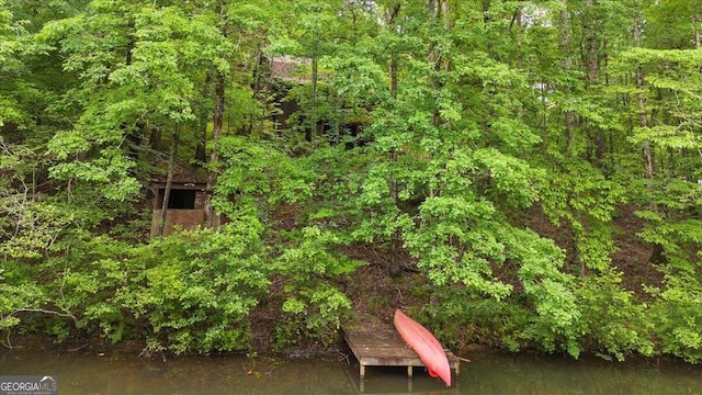 15 Bailey St, Whitesburg, GA 30185 - dock area with a water view