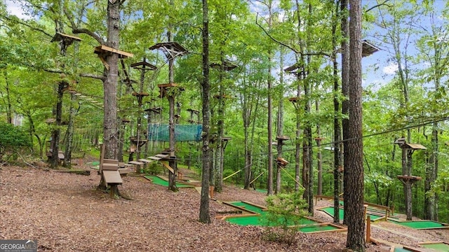 15 Bailey St, Whitesburg, GA 30185 - view of jungle gym