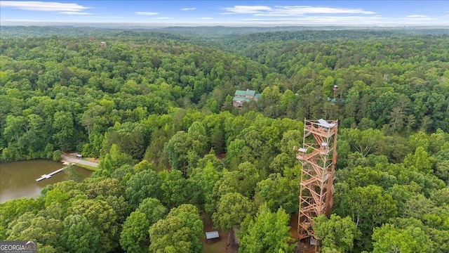 15 Bailey St, Whitesburg, GA 30185 - drone / aerial view of a forest