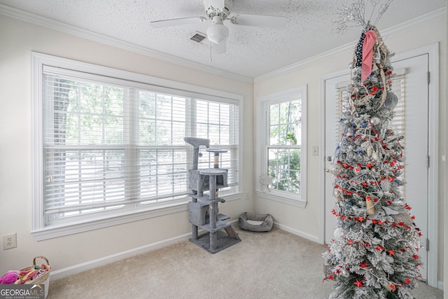 12300 Apache Ave Apt 1517, Savannah, GA 31419