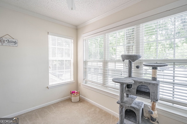 12300 Apache Ave Apt 1517, Savannah, GA 31419