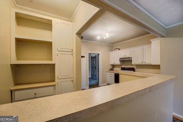 6 Mill St, Jackson, GA 30233 - kitchen featuring under cabinet range hood, white cabinetry, ornamental molding, light countertops, and baseboards