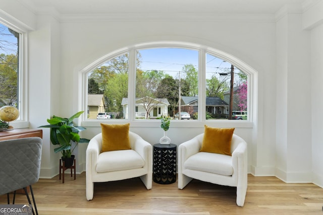 102 Rockyford Rd, Atlanta, GA 30317 - sitting room with light wood-style flooring, healthy amount of natural light, ornamental molding, and baseboards