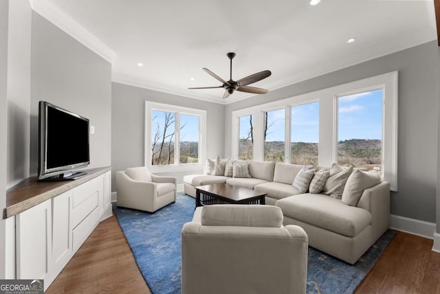 146 David Dr, Tiger, GA 30576 - living room with crown molding, wood finished floors, a ceiling fan, and recessed lighting