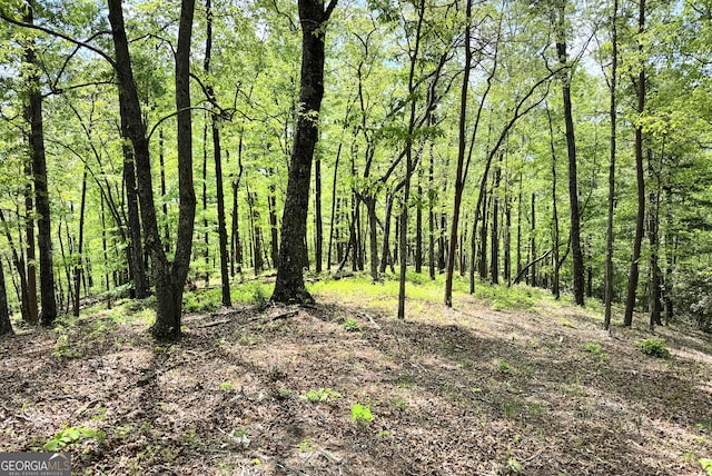 0 Lawrence Rd, Dawsonville, GA 30534