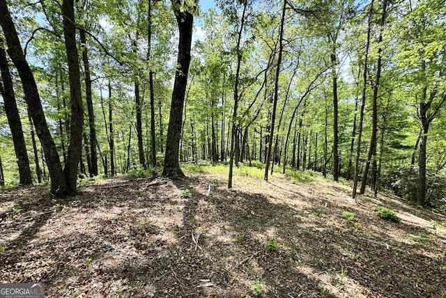 0 Lawrence Rd, Dawsonville, GA 30534