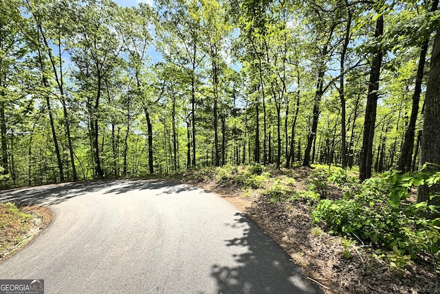 0 Lawrence Rd, Dawsonville, GA 30534