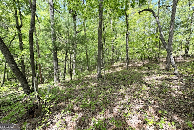 0 Lawrence Rd, Dawsonville, GA 30534