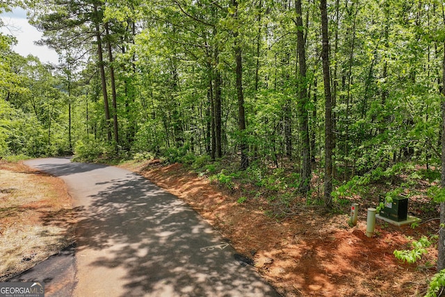 0 Lawrence Rd, Dawsonville, GA 30534