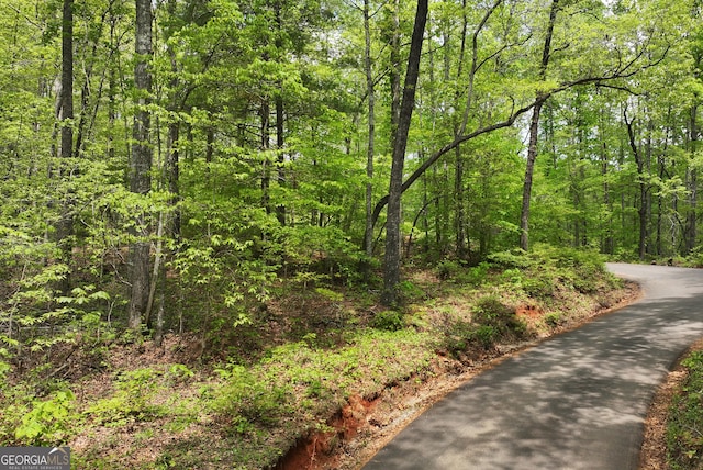 0 Lawrence Rd, Dawsonville, GA 30534