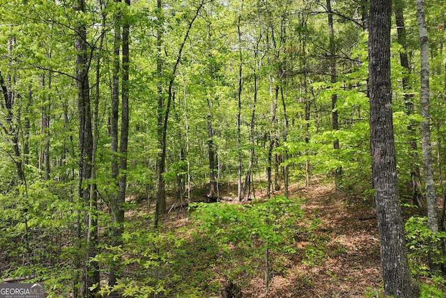 0 Lawrence Rd, Dawsonville, GA 30534