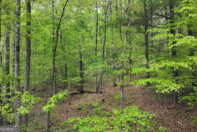 0 Lawrence Rd, Dawsonville, GA 30534