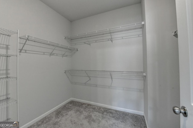 3360 Pickens St, Duluth, GA 30096 - walk in closet with carpet flooring