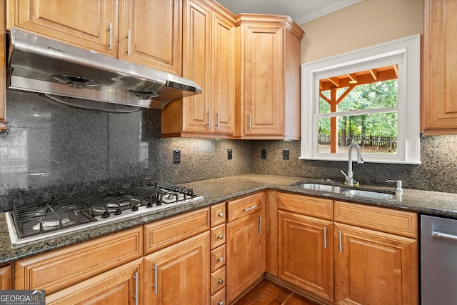 10565 Highgate Manor Ct, Duluth, GA 30097 - kitchen featuring a sink, under cabinet range hood, appliances with stainless steel finishes, crown molding, and tasteful backsplash