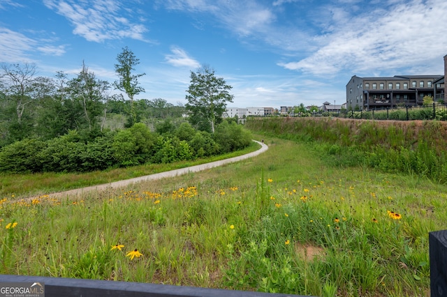 10565 Highgate Manor Ct, Duluth, GA 30097 - view of yard