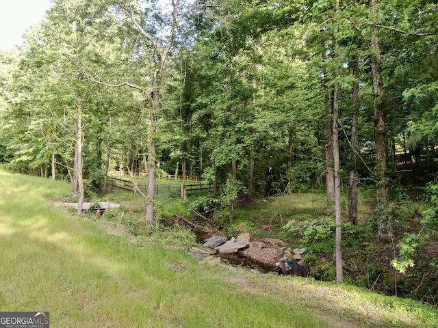 128 Golden Hills Dr, Woodstock, GA 30189 - view of yard with a forest view