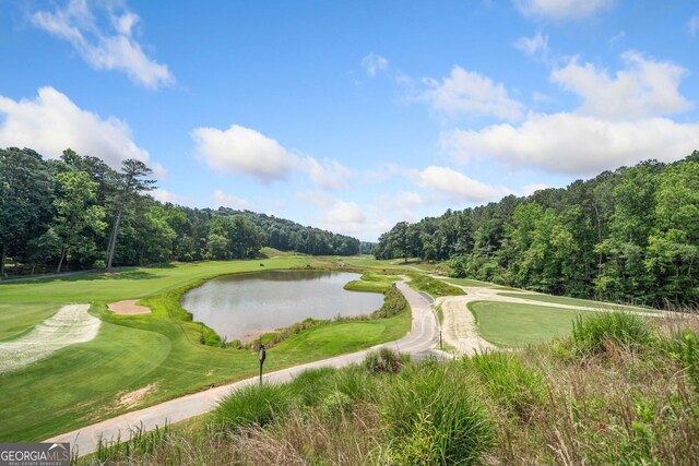 545 Matterhorn Way, Alpharetta, GA 30022 - view of home's community featuring a water view, a view of trees, and view of golf course