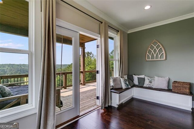 1204 Springdale Rd, Rockmart, GA 30153 - doorway to outside featuring crown molding, dark wood finished floors, and recessed lighting