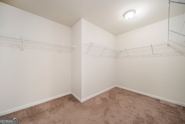 212 Jetta Cir, Mcdonough, GA 30253 - walk in closet featuring carpet