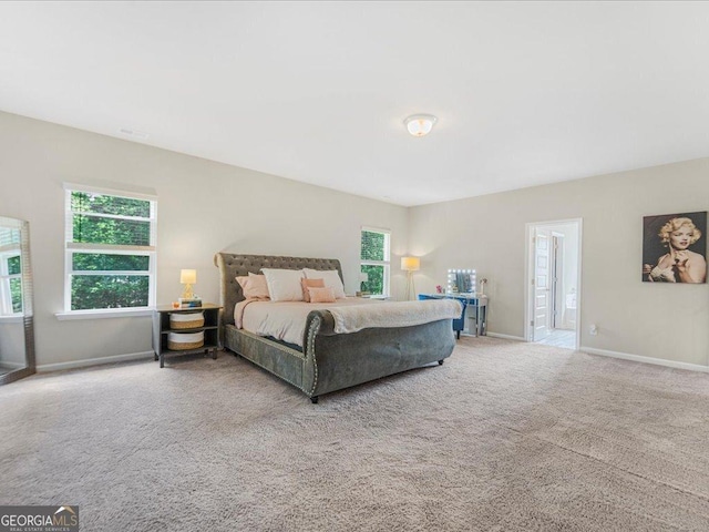 340 Louise Ln, Canton, GA 30114 - bedroom with baseboards and carpet floors