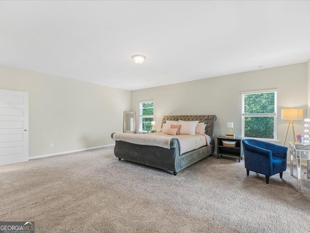 340 Louise Ln, Canton, GA 30114 - bedroom featuring carpet and baseboards