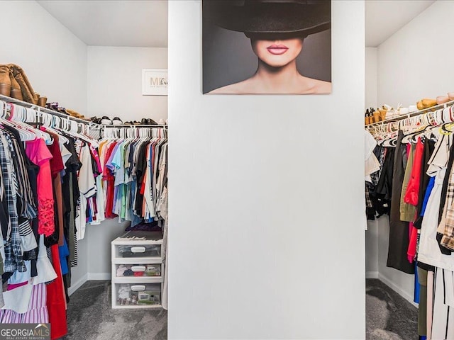 340 Louise Ln, Canton, GA 30114 - spacious closet featuring carpet floors