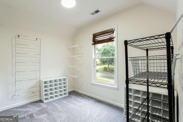 4045 Hillcrest View Ct, Suwanee, GA 30024 - unfurnished bedroom with lofted ceiling, baseboards, and carpet floors