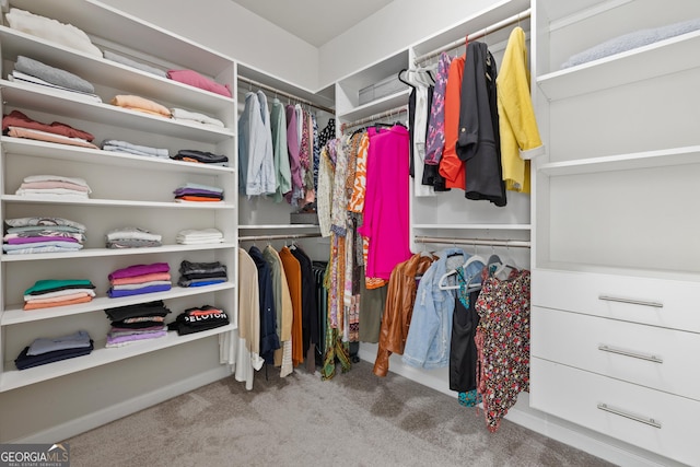 1998 Lakeview Bend Way, Buford, GA 30519 - spacious closet with carpet flooring
