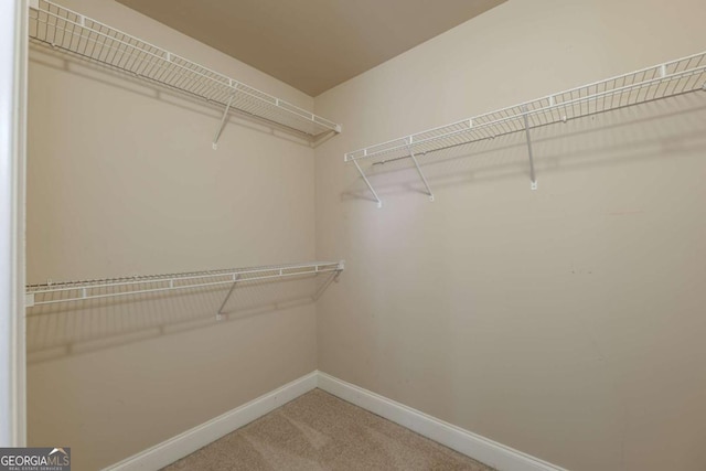 2264 Ewell Park Dr, Lawrenceville, GA 30043 - spacious closet with carpet